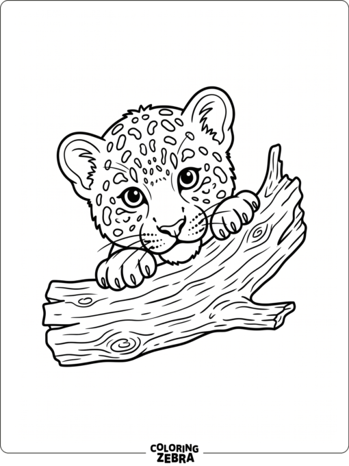 A baby leopard peeking from behind a log