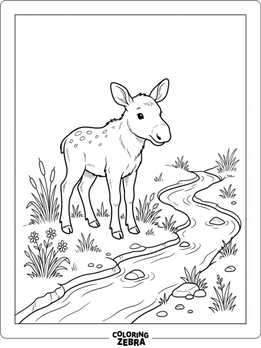 A baby moose standing near grass and water