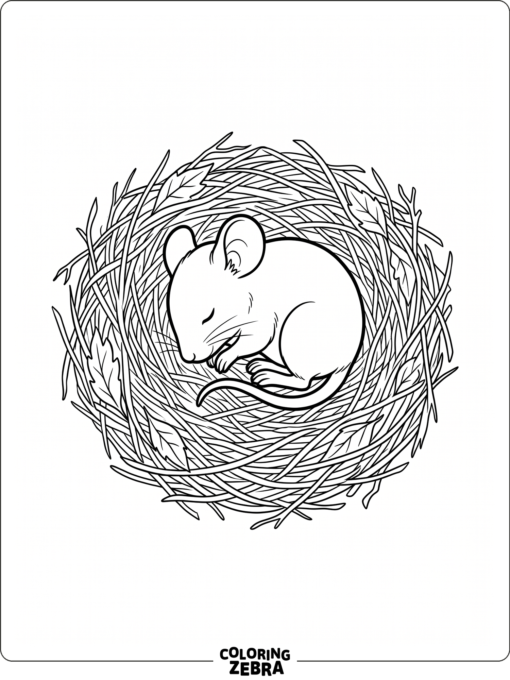 A tiny baby mouse curled in a straw nest