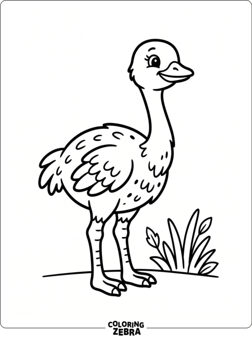 A baby ostrich chick standing near a tiny patch of grass