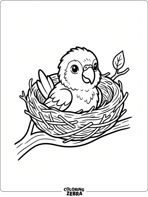 A baby parrot peeking out of a nest