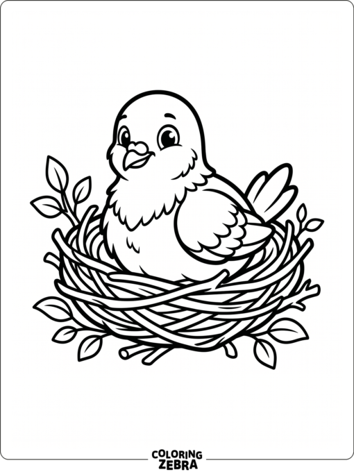 A baby pigeon in a nest