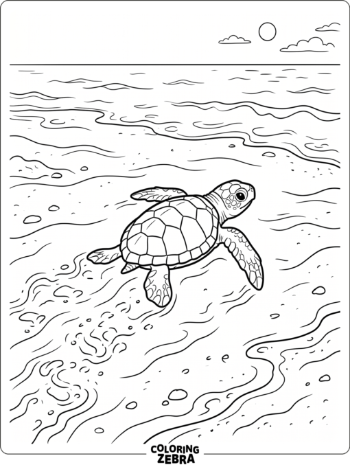 A baby sea turtle crawling across the sand