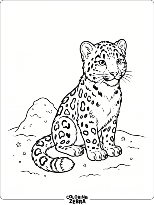 A baby snow leopard sitting beside a snow mound