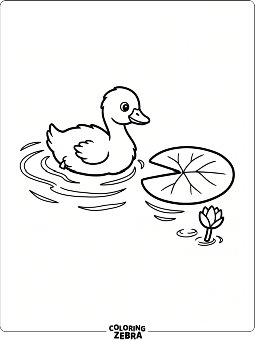 A baby swan beside a lily pad and ripples