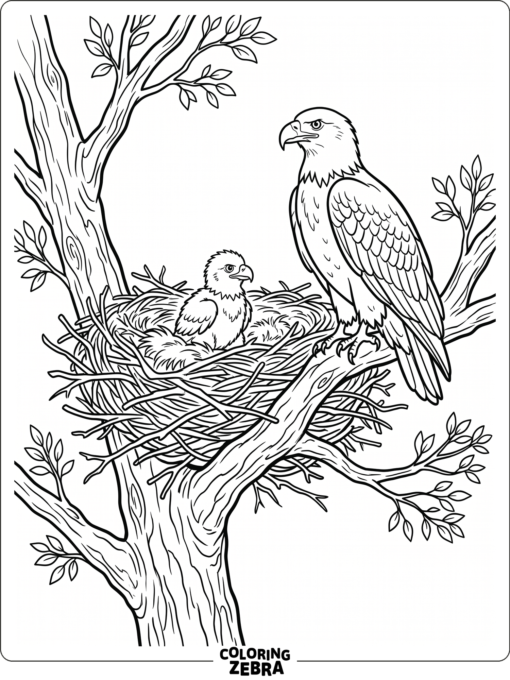 A bald eagle nest with a chick on a branch