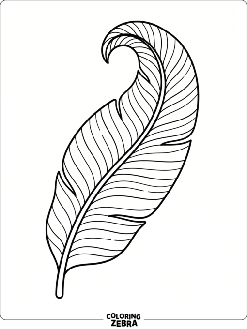 A long banana leaf with clear vein lines