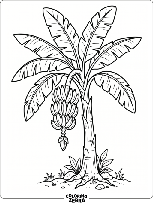 A banana tree with large leaves and hanging bananas