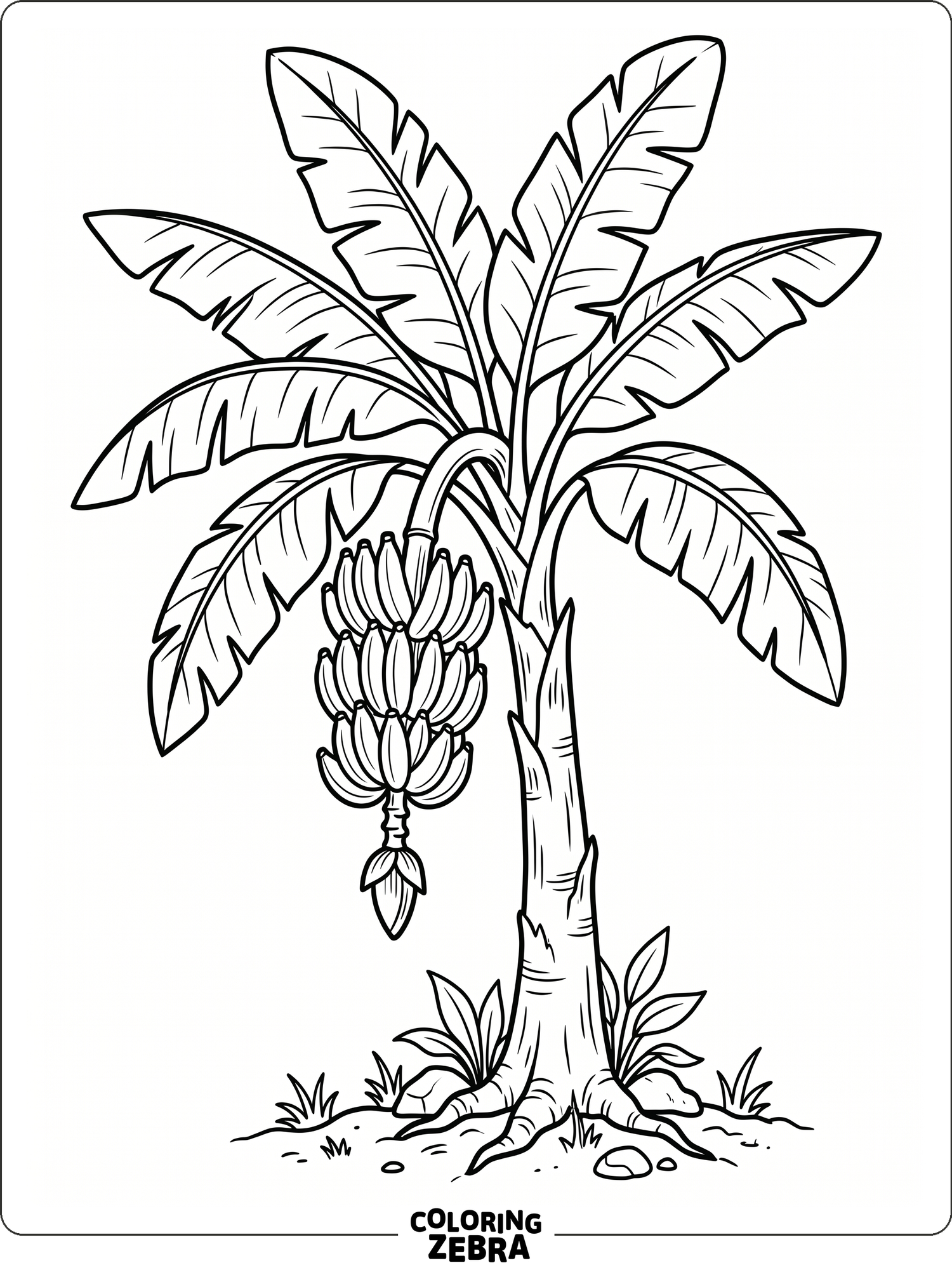 Banana Tree Coloring Pages — Detail 4 Banana Tree Coloring Pages — Detail 4