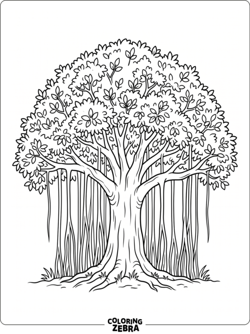 A banyan tree with hanging roots and a wide crown