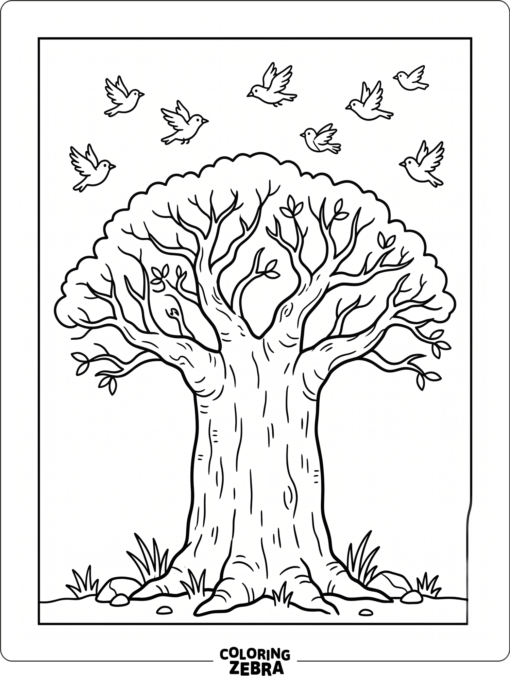 A baobab tree with a thick trunk and two birds overhead