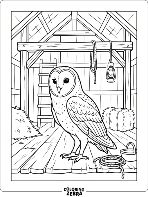 A barn owl in a loft near a beam
