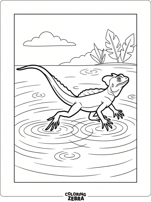 A basilisk lizard running across water