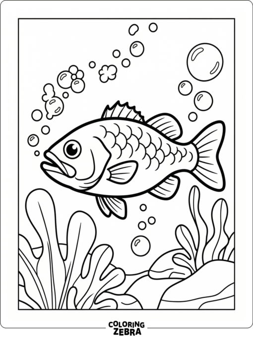 A bass fish swimming through bubbles in clear water