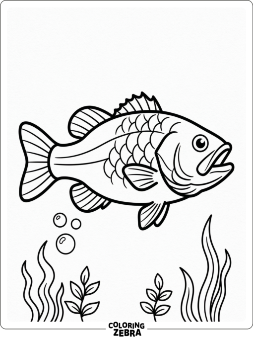 A plain bass fish outline for coloring