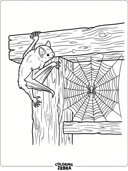 A bat near a spider web on a beam