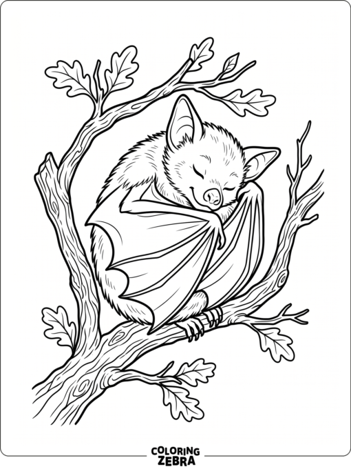 A sleeping bat curled up on a branch
