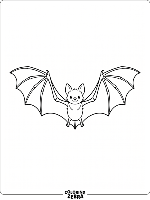 A bat with wide wings and a tiny body