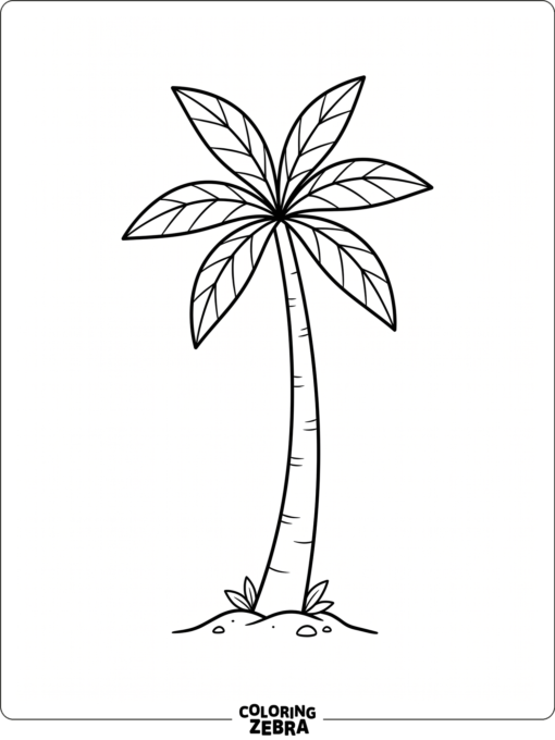 A simple palm tree with a smooth trunk