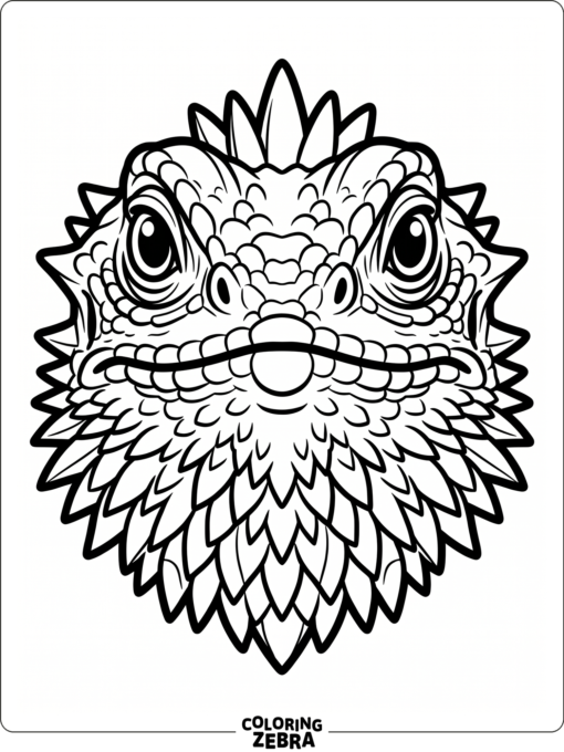 A close up bearded dragon face with bold eyes