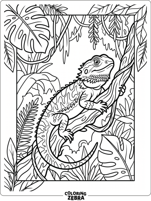 A bearded dragon on a vine in the jungle