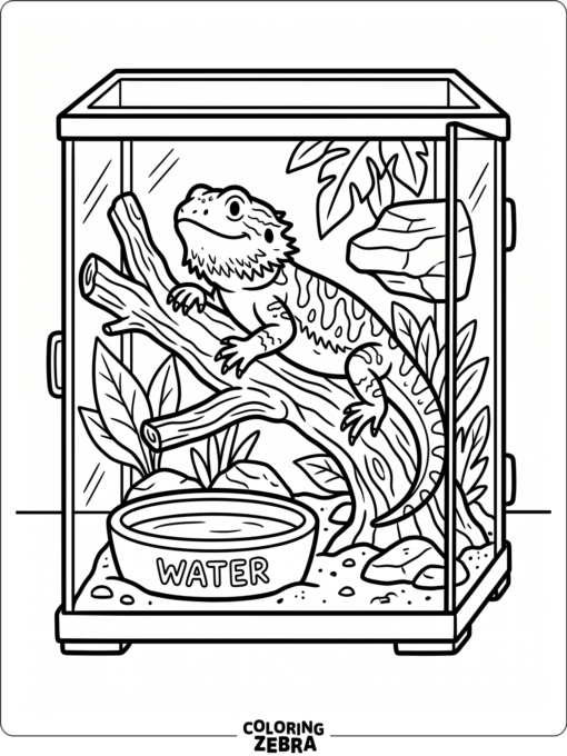 A bearded dragon inside a tank with a branch and bowl