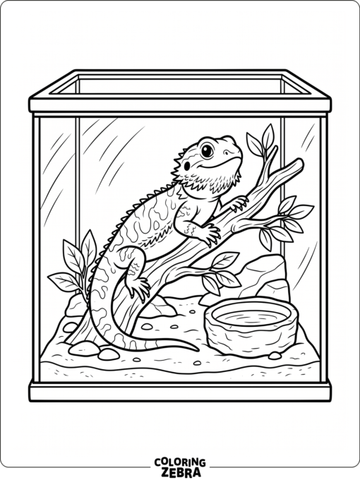 A bearded dragon in a terrarium with a branch