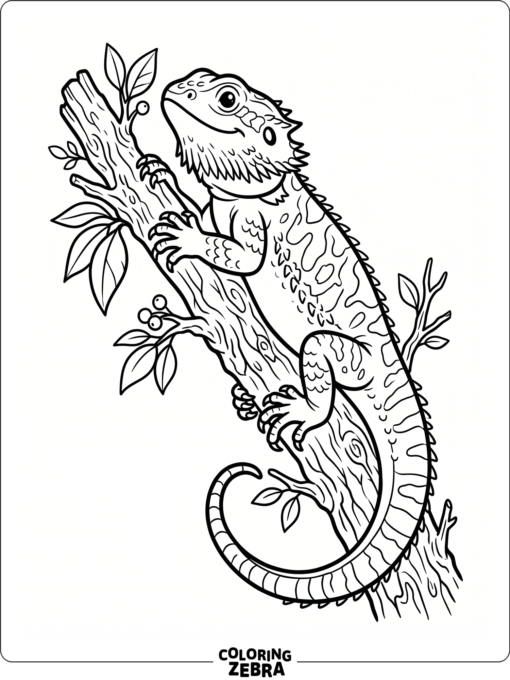 A bearded dragon climbing a branch with its tail curled