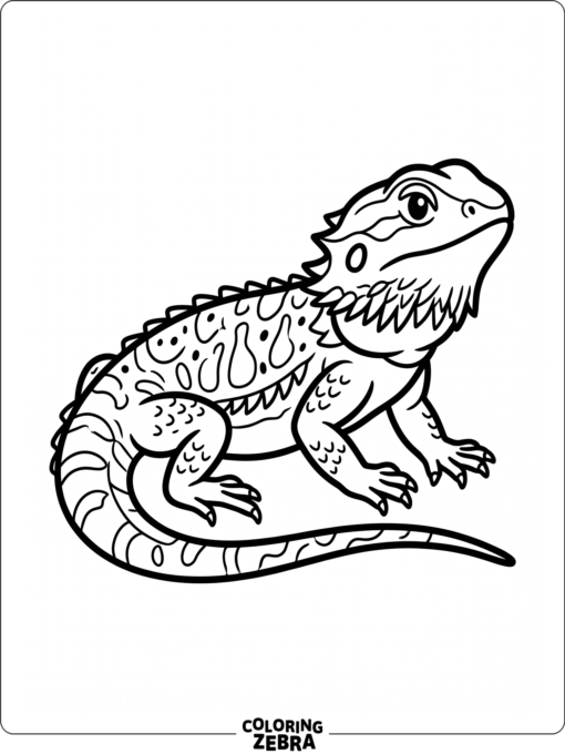 A simple bearded dragon outline with no background