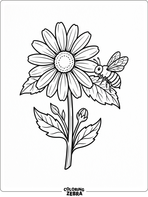 A bee beside a daisy flower