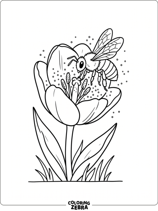 A bee gathering pollen from a tulip