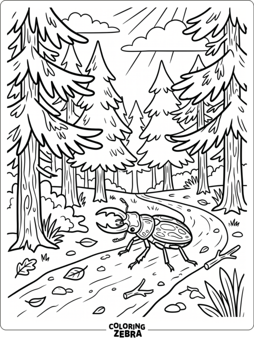 A beetle walking on a forest path