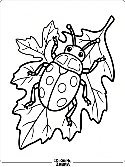 A simple beetle with bold legs and antennae