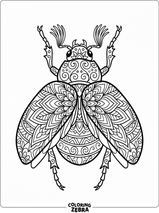 An ornamental beetle with decorative wing patterns