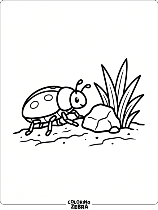 A beetle crawling near a rock and grass