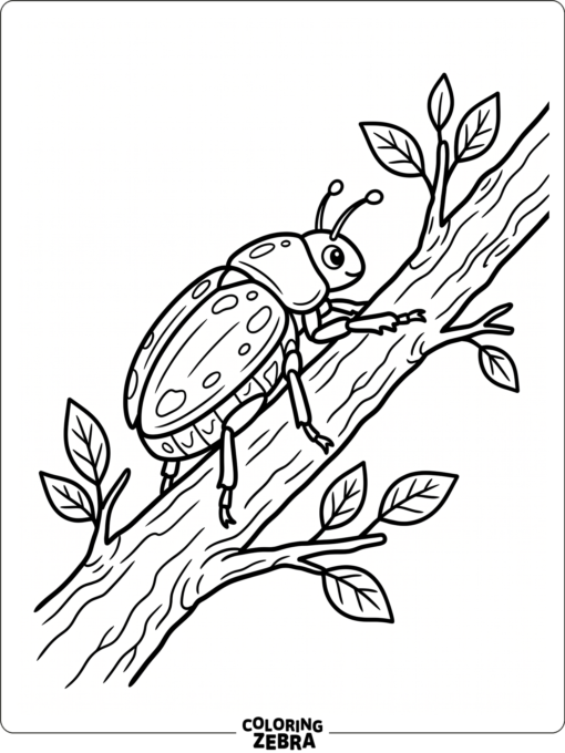 A beetle crawling along a branch