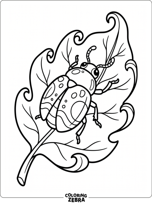 A beetle resting on a large leaf