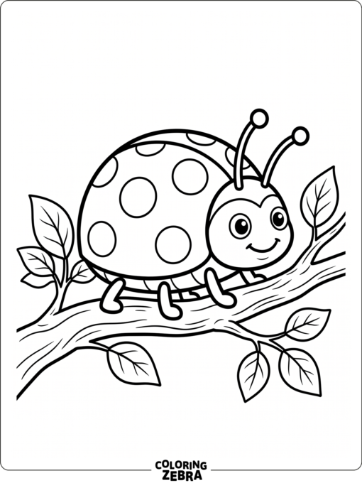 A spotted beetle sitting on a branch