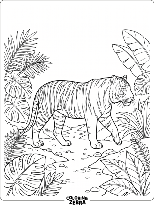 A Bengal tiger walking along a jungle path