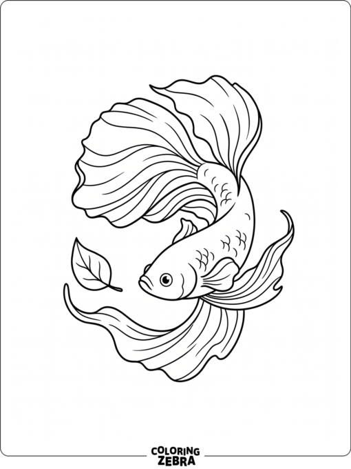 A betta fish with long flowing fins beside a leaf