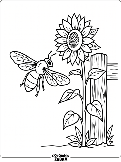 A large bee flying by a sunflower
