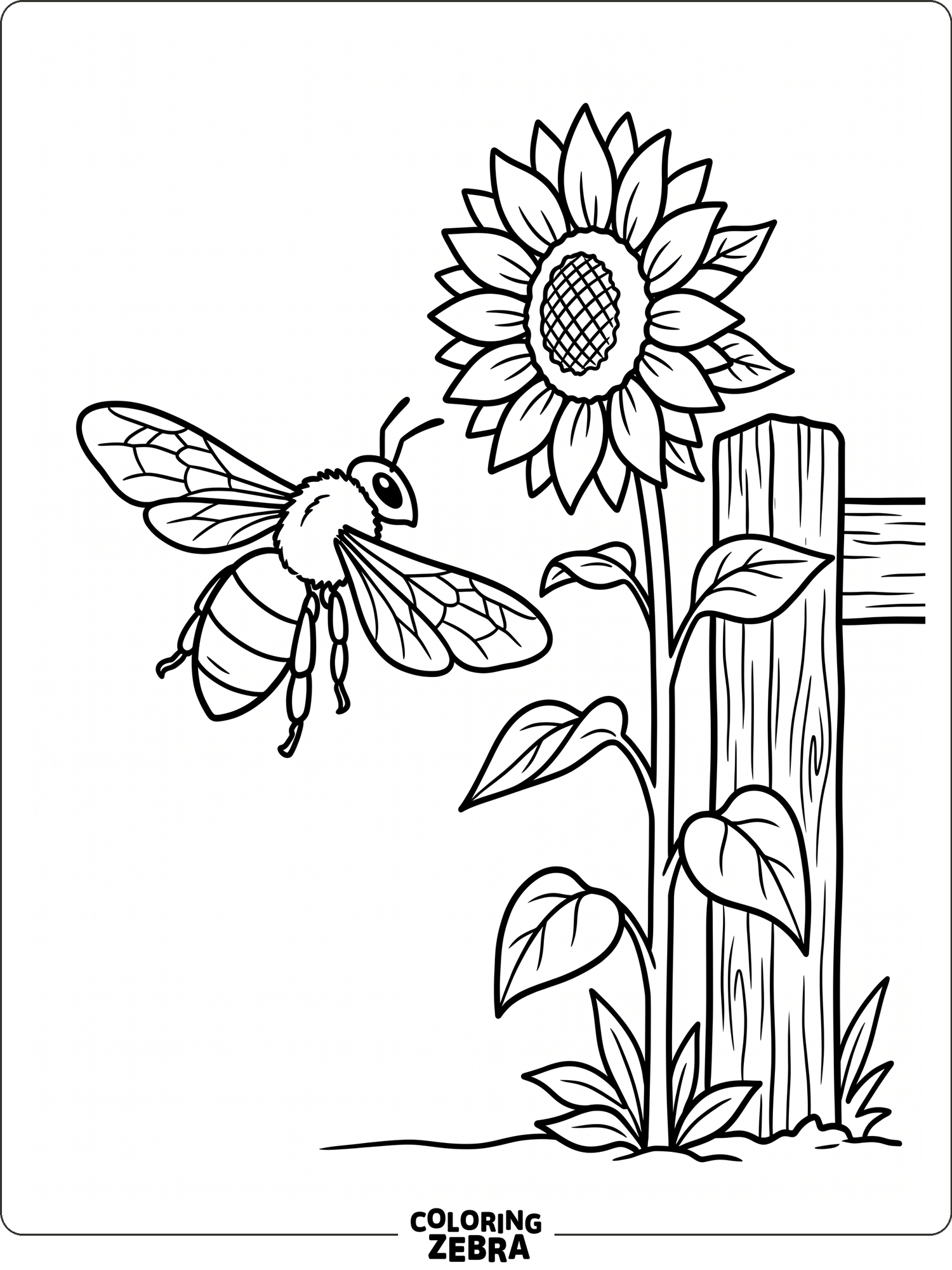40 Free Bee Coloring Pages - Printable PDF Sheets