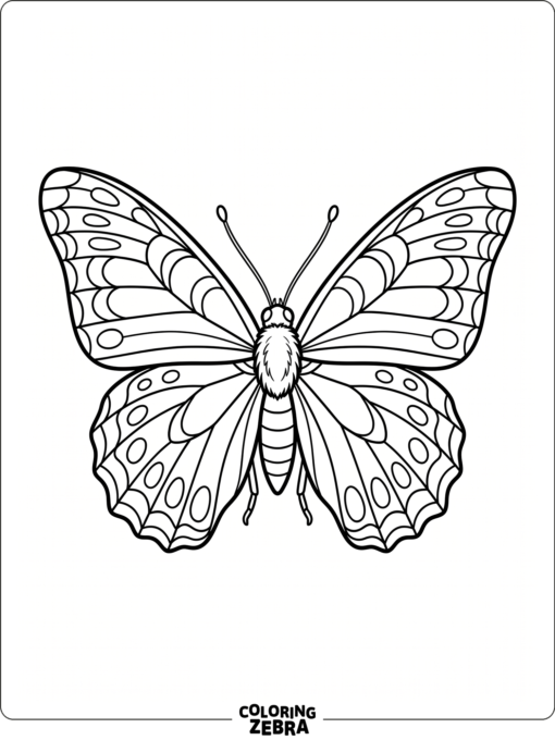 A large butterfly with broad open wings
