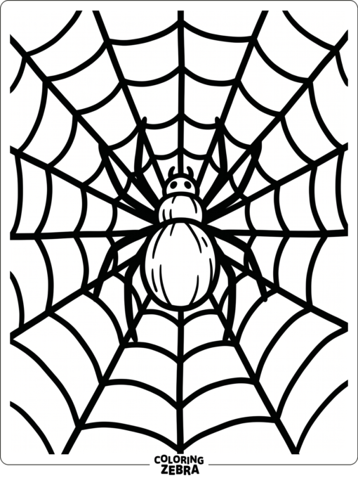 A large spider on a web with thick strands