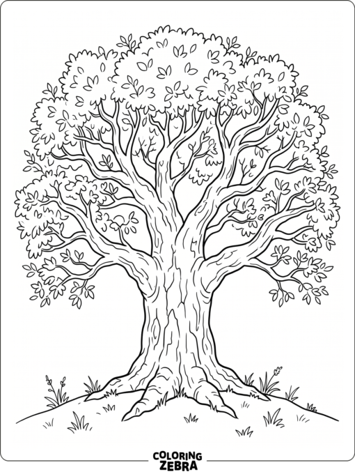 A large tree with a wide trunk and spreading branches