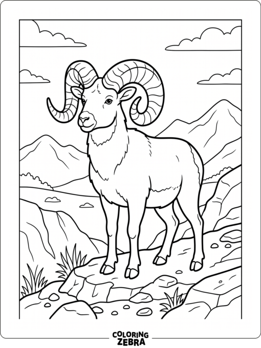 A bighorn sheep on rocky ground