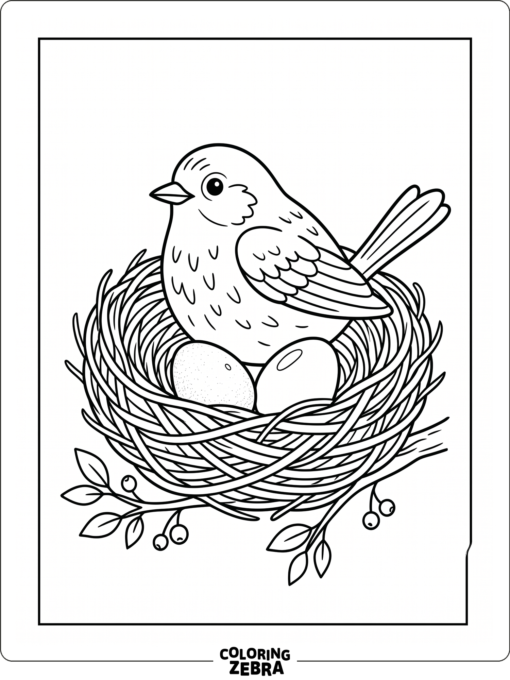 A bird sitting in a nest with two eggs