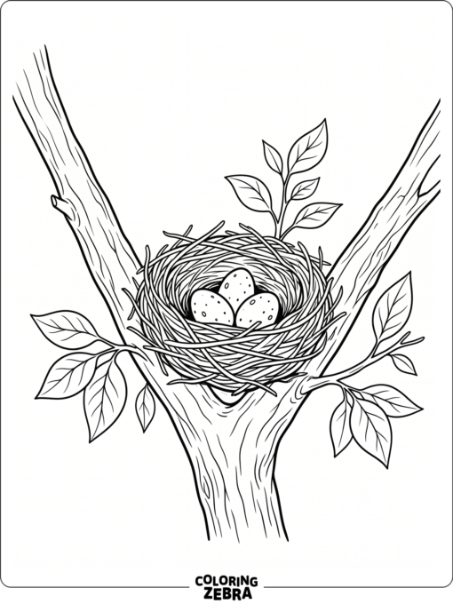 A bird nest with three eggs in a tree