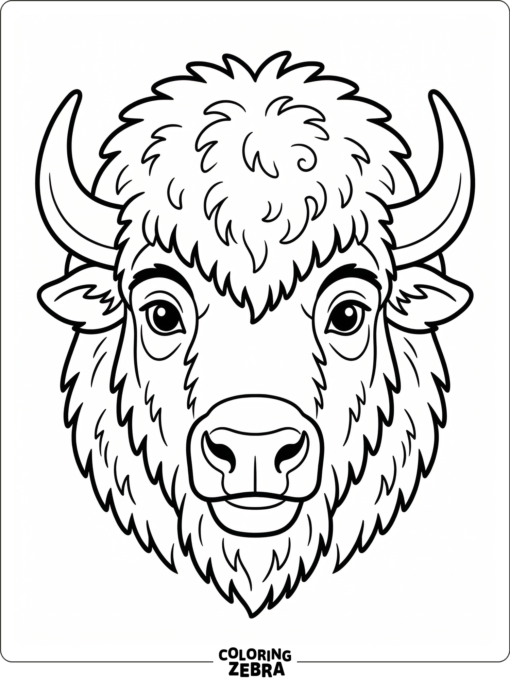 A front view bison face with shaggy forehead and calm eyes