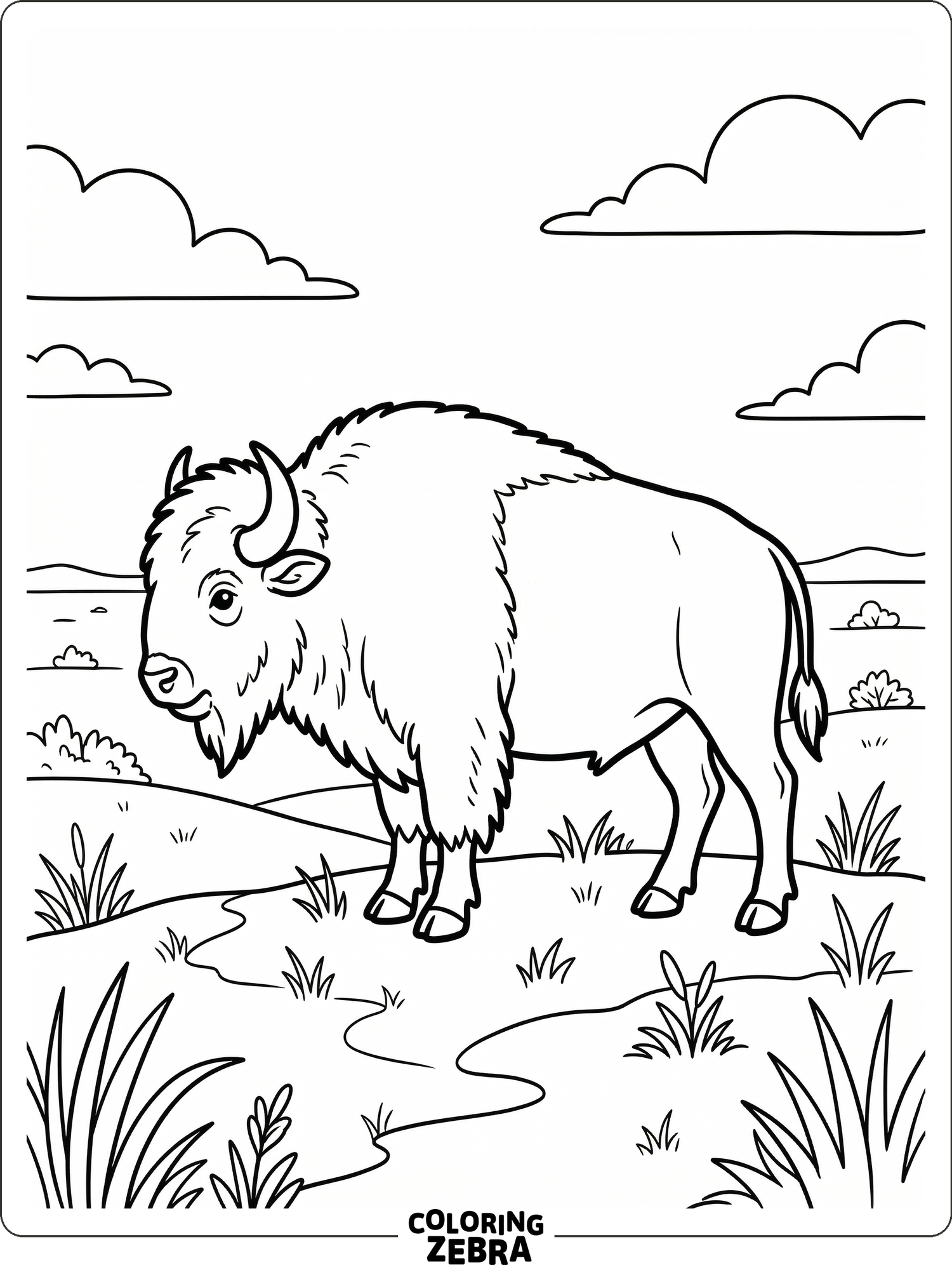 A bison in profile on open prairie with sparse grass